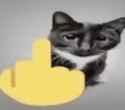 13 KB