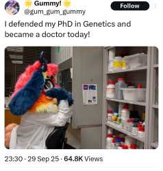 220 KB