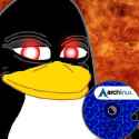 241 KB