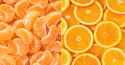 difference-between-tangerines-oranges-fb-1200x628.jpg