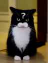 193 KB