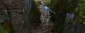 715 KB