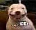 50 KB