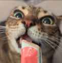 483 KB