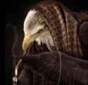 171 KB