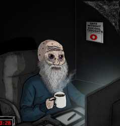 223 KB
