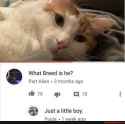 90 KB