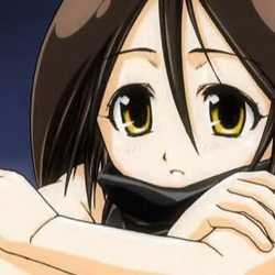 53 KB