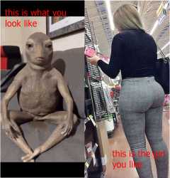 778 KB