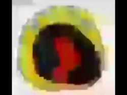 10 KB