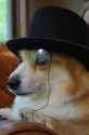 65 KB