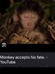 7 KB