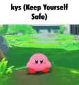 264 KB