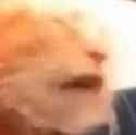 130 KB