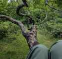 3.11 MB