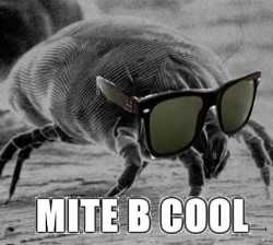 69 KB