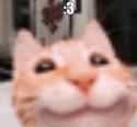71 KB