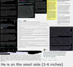 3.12 MB