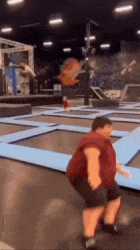 3.3 MB
