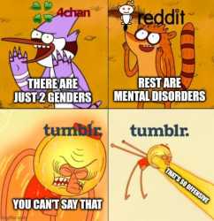 778 KB