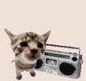 161 KB