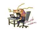 31 KB