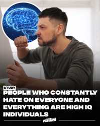 251 KB