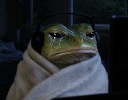 1.9 MB