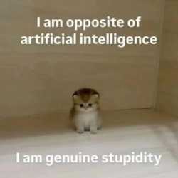48 KB