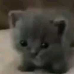 27 KB