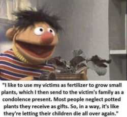 182 KB