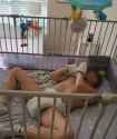 602 KB