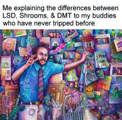 553 KB