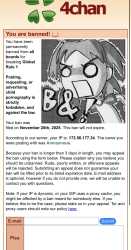 517 KB