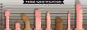 31 KB