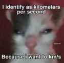 155 KB