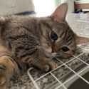 1.28 MB