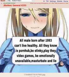 1.06 MB