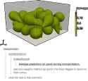 251 KB