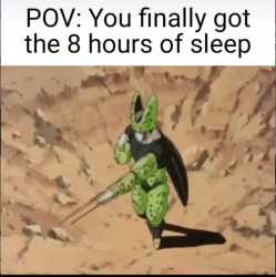 2.61 MB