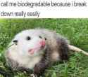 20 KB