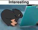 667 KB