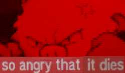 313 KB