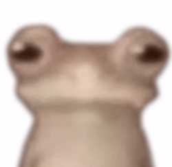 160 KB