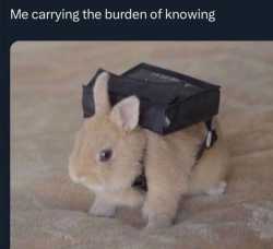 69 KB