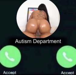 3.53 MB