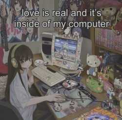 1.43 MB