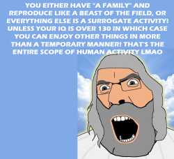 278 KB