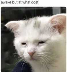 227 KB