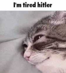 109 KB